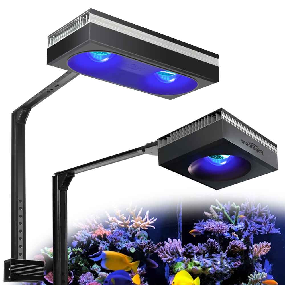 مصباح حوض السمك PopBloom RL90/ - مراجعة Marine X Aquarium وسعره
