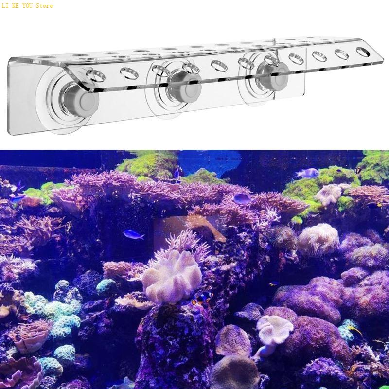 W3JE أكريليك المرجان Frag رف ا - مراجعة Coral Frag Plug وسعره
