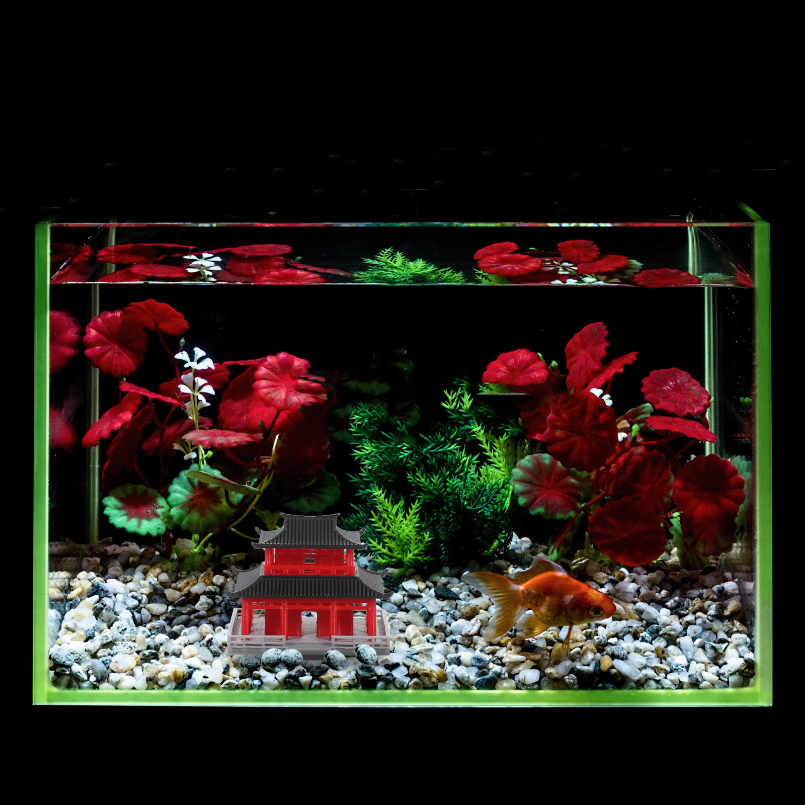 برج بافيليون صغير، زينة حوض ال - مراجعة Aquarium & Marine Museum وسعره