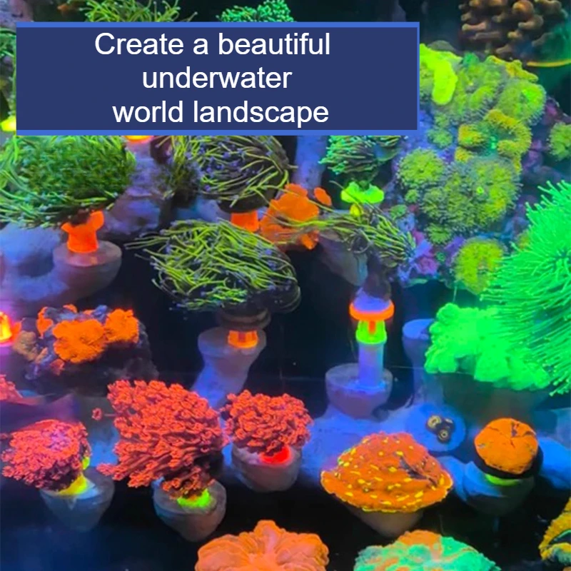 المرجان الركيزة قابل للتعديل ز - مراجعة Coral Frag Plug وسعره