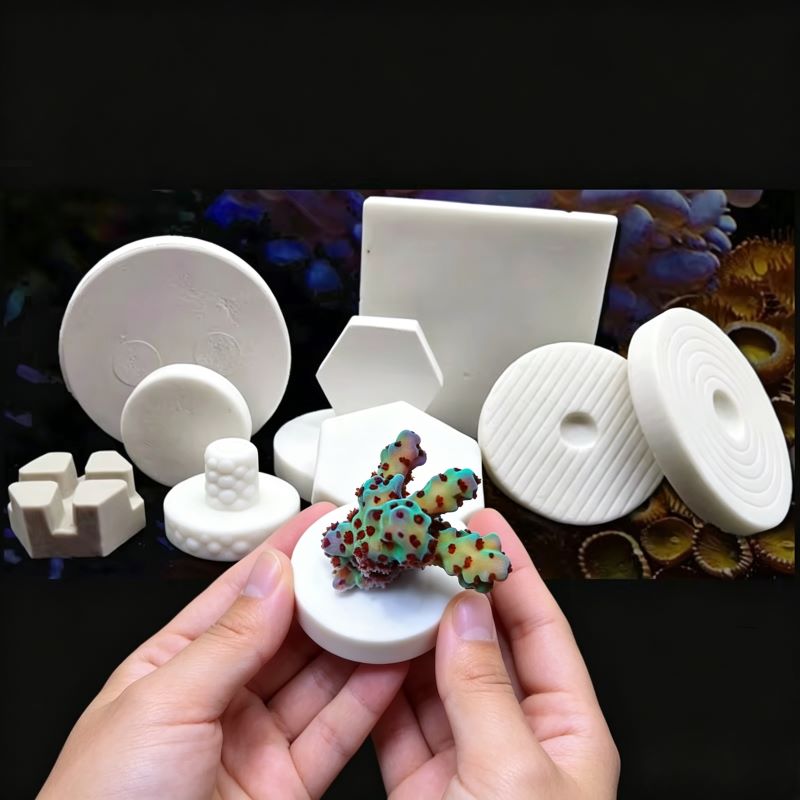 قاعدة سيراميك SPS لزراعة الشعا - مراجعة Coral Frag Plug وسعره