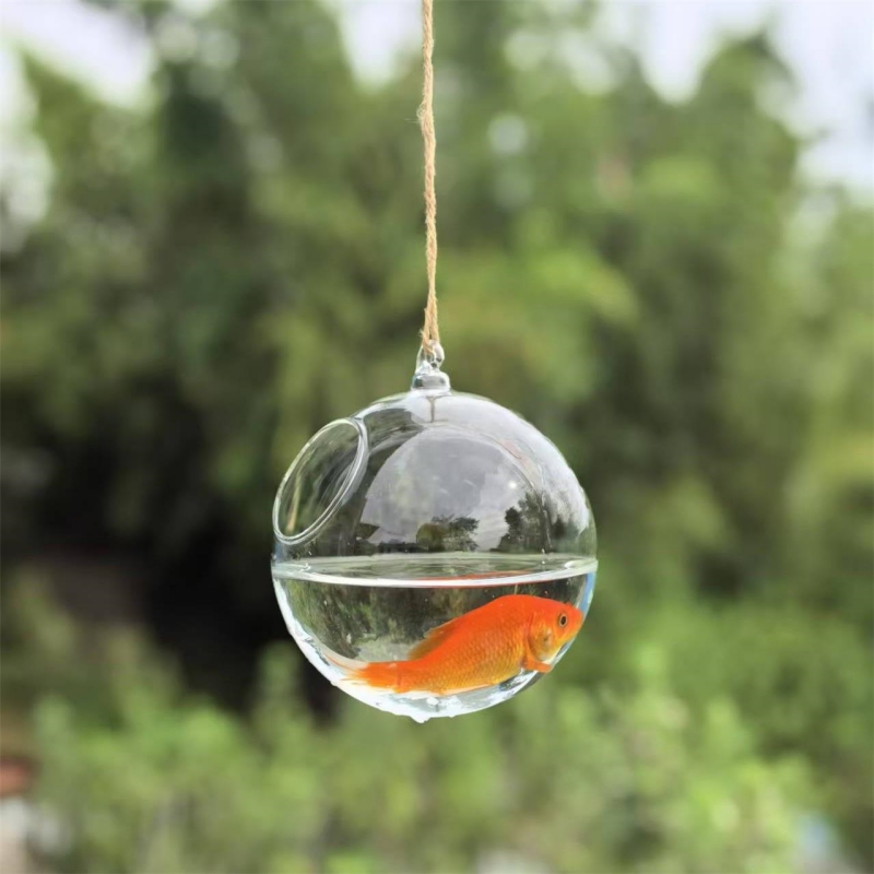 حوض سمك زجاجي شفاف بقطر تغليف  - مراجعة Aquarium & Marine Museum وسعره