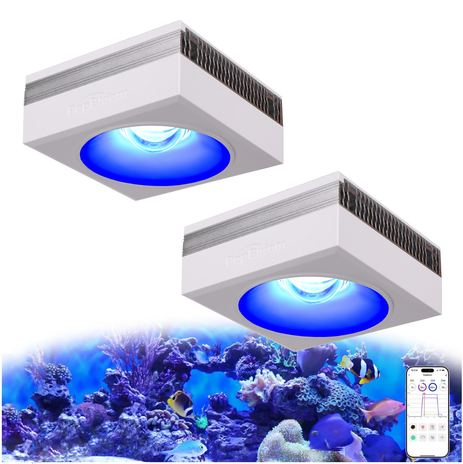 مصباح حوض السمك الجديد PopBloo - مراجعة Marine X Aquarium وسعره