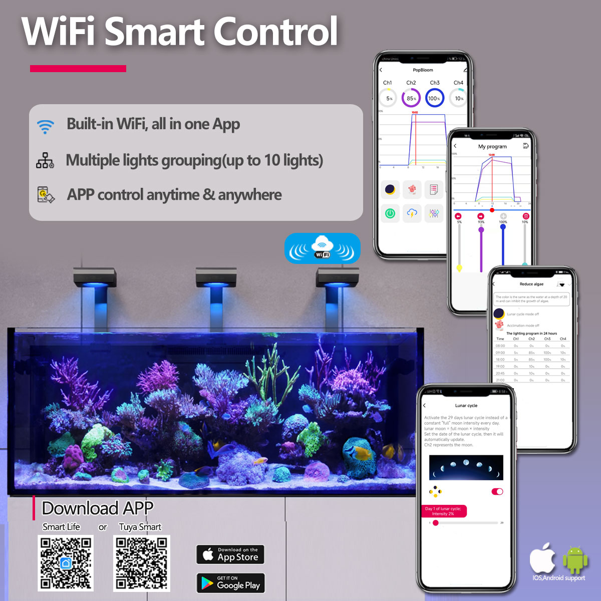 3 × مصابيح LED لحوض السمك من P - مراجعة Marine X Aquarium وسعره