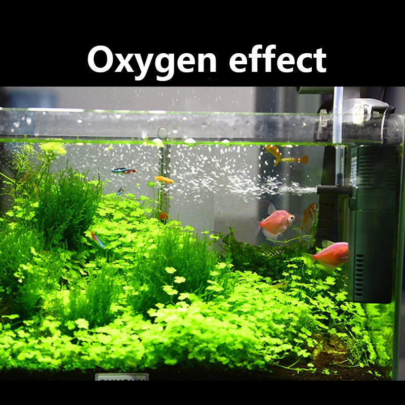 مضخة أوكسجين داخلي نانو صغيرة  - مراجعة Marine Aquarium Chiller وسعره